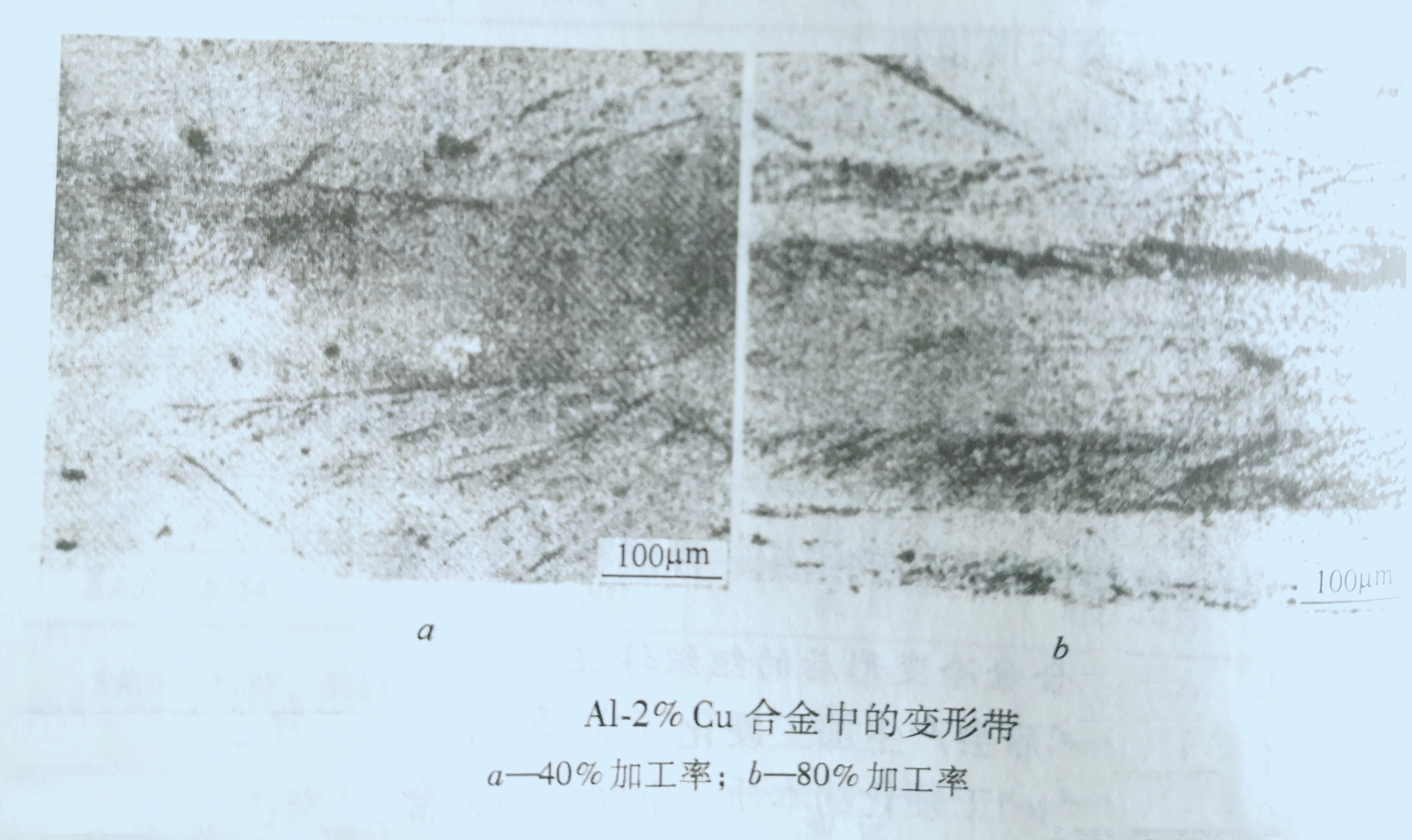 山東鋁闆廠家
